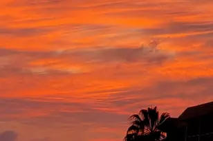 2871 N N Ocean Blvd Unit, Boca Raton, FL 33431 - Photo 43