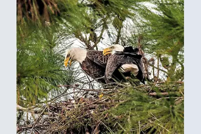 5051 Tozour Road, Fort Pierce, FL 34946 - Photo 41