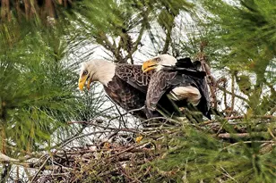 5051 Tozour Rd, Fort Pierce, FL 34946 - Photo 41