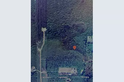 Tbd NE 125th Ave, Fort Mc Coy, FL 32134 - Photo 1