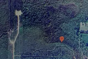 Tbd NE 125th Ave, Fort Mc Coy, FL 32134 - Photo 1