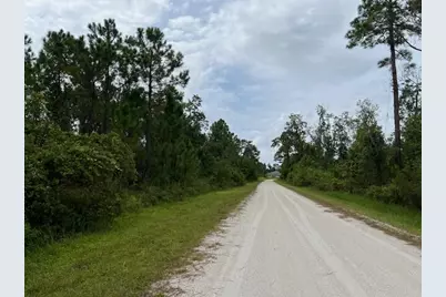 1123 Greenfield Street, Lake Placid, FL 33852 - Photo 5