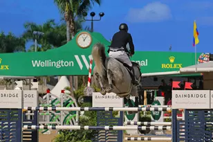 3382 Grand Prix Farms Dr N, Wellington, FL 33414 - Photo 71