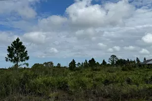 18619 NW 248th St, Okeechobee, FL 34972 - Photo 1