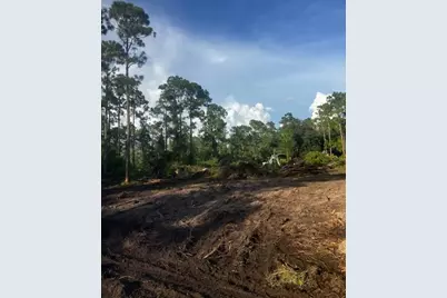 2018 Canton Avenue, Alva, FL 33920 - Photo 1