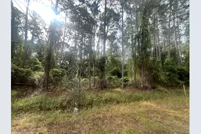 223 SE 2nd Street, Georgetown, FL 32139 - Photo 5