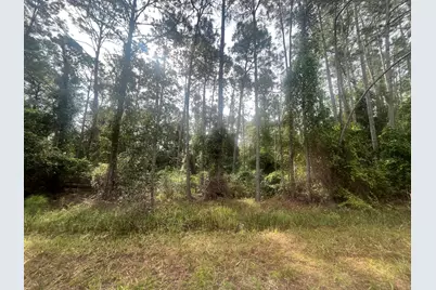 223 SE 2nd Street, Georgetown, FL 32139 - Photo 1