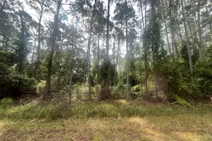 223 SE 2nd St, Georgetown, FL 32139 - Photo 1