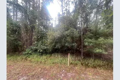 223 SE 2nd Street, Georgetown, FL 32139 - Photo 7