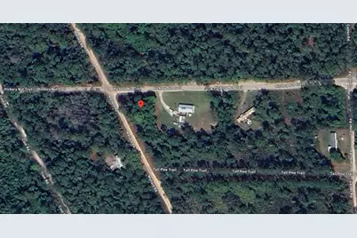 Hickory Nut Trail Trail, Satsuma, FL 32189 - Photo 3