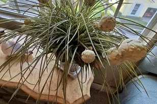 204 Shelley Ln, Fort Pierce, FL 34949 - Photo 21