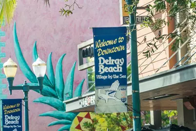 3010 Salerno Way, Delray Beach, FL 33445 - Photo 67