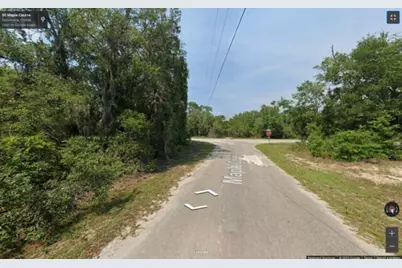 000 Maple Course, Silver Springs, FL 34488 - Photo 1