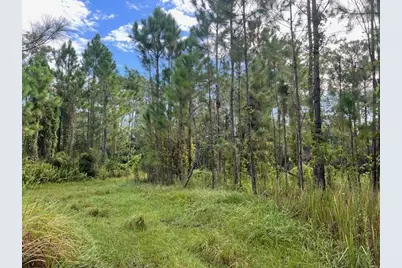 1135 Greenfield Street, Lake Placid, FL 33852 - Photo 9