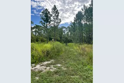 1135 Greenfield Street, Lake Placid, FL 33852 - Photo 13