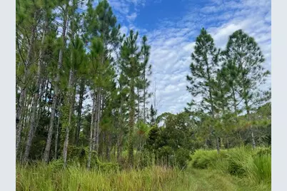 1135 Greenfield Street, Lake Placid, FL 33852 - Photo 7