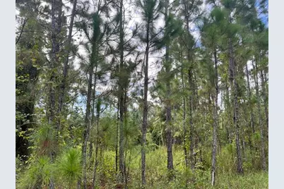 1135 Greenfield Street, Lake Placid, FL 33852 - Photo 3