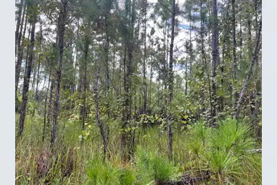 1135 Greenfield Street, Lake Placid, FL 33852 - Photo 11