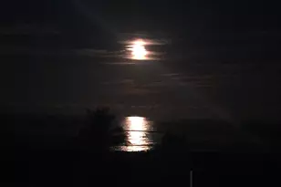 5159 N Hwy A1A Unit #311 B, Hutchinson Island, FL 34949 - Photo 69