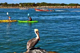 5159 N Hwy A1A Unit #311 B, Hutchinson Island, FL 34949 - Photo 77