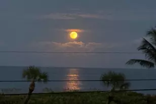 5159 N Hwy A1A Unit #311 B, Hutchinson Island, FL 34949 - Photo 89