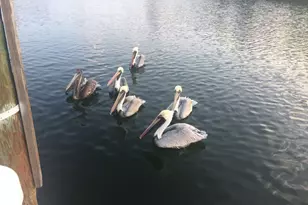 5159 N Hwy A1A Unit #311 B, Hutchinson Island, FL 34949 - Photo 67