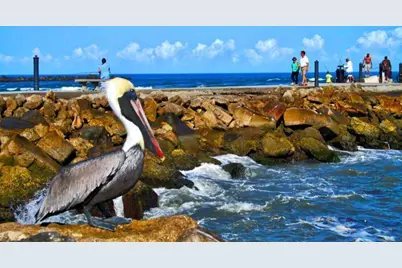 5159 N Hwy A1A, Unit #311 B, Hutchinson Island, FL 34949 - Photo 75