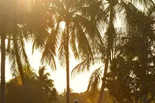 2541 Kittbuck Way, West Palm Beach, FL 33411 - Photo 47