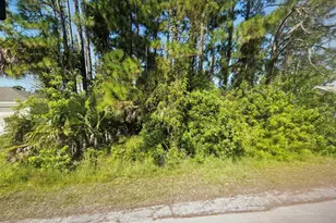 784 Halton Ave SW, Palm Bay, FL 32908 - Photo 1