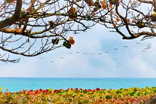 5440 N Ocean Dr, Singer Island, FL 33404 - Photo 31