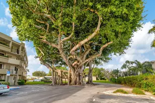 555 Banyan Tree Ln, Delray Beach, FL 33483 - Photo 15