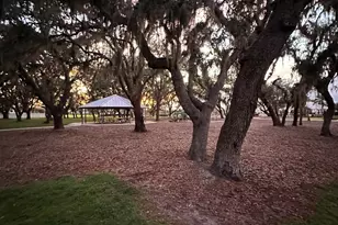 13106 Jeter Creek Dr, Riverview, FL 33579 - Photo 89