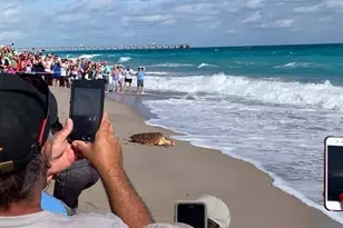 1701 Mizzenmast Way, Jupiter, FL 33477 - Photo 61