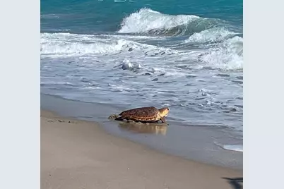 1701 Mizzenmast Way, Jupiter, FL 33477 - Photo 59