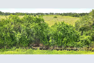 5573 NW 24th Street, Okeechobee, FL 34972 - Photo 3