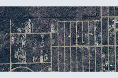206 Marion Trail, Interlachen, FL 32148 - Photo 3