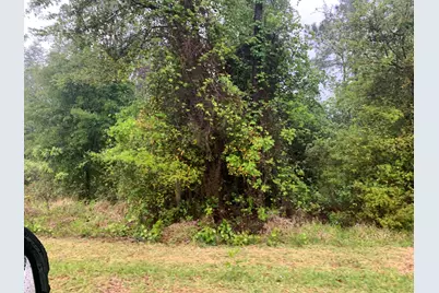 0 SE Unassigned Location Re Avenue, Gainesville, FL 32641 - Photo 3