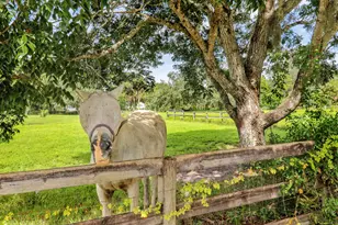 12818 Old Indiantown Rd, Jupiter, FL 33478 - Photo 51