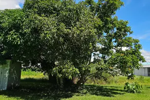 925 SW 39th Ln, Okeechobee, FL 34974 - Photo 27