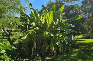 925 SW 39th Ln, Okeechobee, FL 34974 - Photo 25