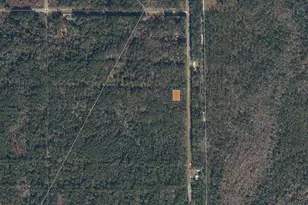 339 Chipola Dr, Georgetown, FL 32139 - Photo 1