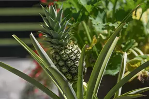 14844 Palmwood Rd, Palm Beach Gardens, FL 33410 - Photo 77