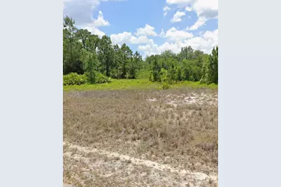 1909 Monroe Avenue, Lehigh Acres, FL 33972 - Photo 1