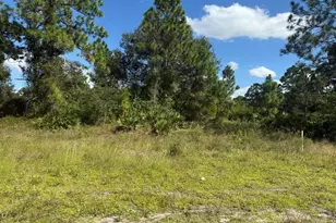 627 Columbus Blvd S, Lehigh Acres, FL 33974 - Photo 1