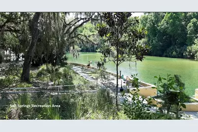 303 Siesta Drive, Georgetown, FL 32139 - Photo 3