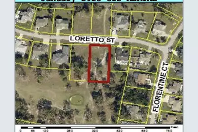 Tbd Loretto Lot 8 Street, Spring Hill, FL 34608 - Photo 3