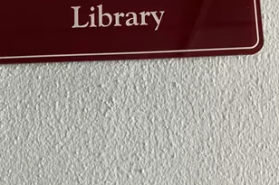 5263 Cresthaven Blvd, West Palm Beach, FL 33415 - Photo 39