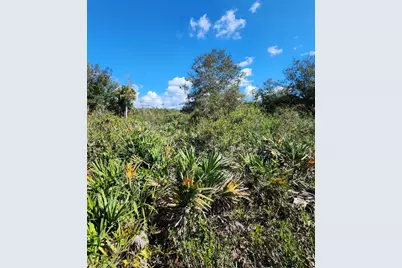 17707 NW 274th Street, Okeechobee, FL 34972 - Photo 5