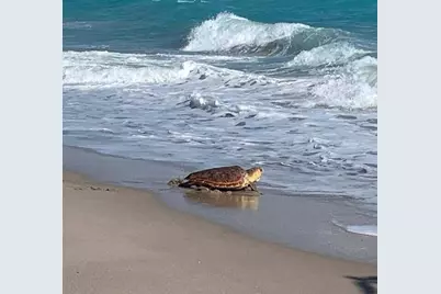 1609 Mizzenmast Way, Unit #1609, Jupiter, FL 33477 - Photo 45