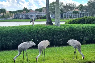 9825 Mantova Dr, Lake Worth, FL 33467 - Photo 37